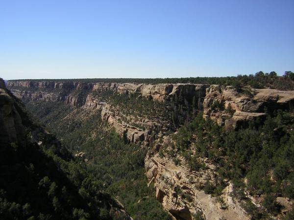 Mesa Verde cliff dwellings