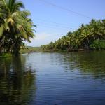 Golden Island Temple
